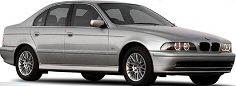BMW 5 Seri E39 Kasa Bijon Saplaması 36136781150